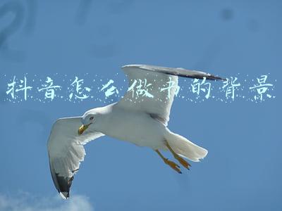 抖音怎么做书的背景