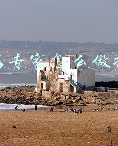 知名专家怎么做抖音