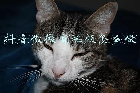 抖音做微商视频怎么做