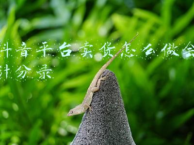 抖音平台卖货怎么做会计分录