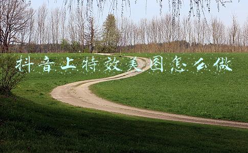 抖音上特效美图怎么做