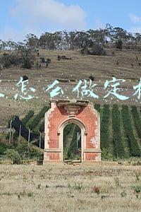 抖音里怎么做定格动画