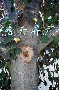 景宁抖音开屏广告怎么做收费