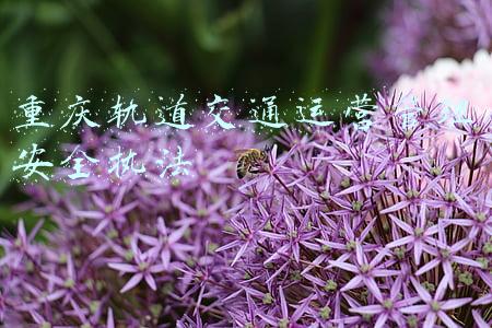 重庆轨道交通运营管理安全执法