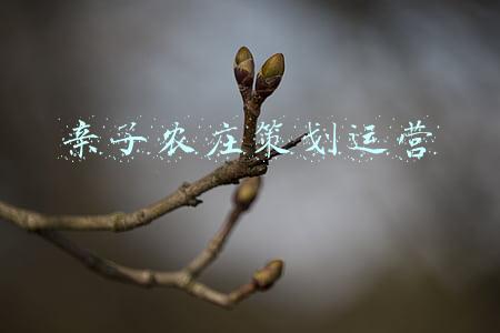 亲子农庄项目计划书(做一个亲子农庄多久能回本？投资需要多少钱？)