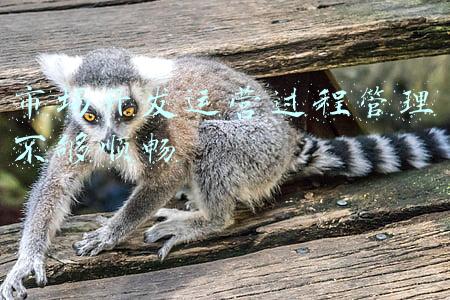 市场理念不够(央视剧评｜回望2021：除旧迎新的中国电影)