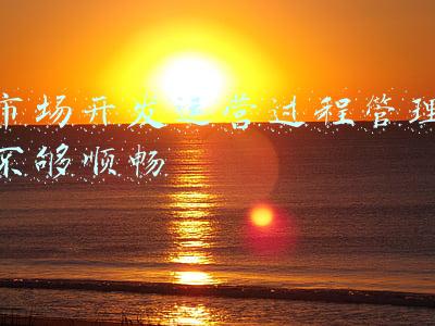 市场开发运营过程管理不够顺畅