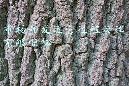 市场开发运营过程管理不够顺畅