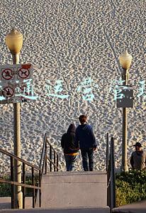 铁道交通运营与管理具体是什么工作(郑州铁路职业技术学院河南高考单独招生（单招）考试科目)