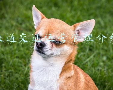 铁道交通运营管理周报(高铁建设全面收紧？国家发改委答时代周报：推动铁路建设更加科学、理性)
