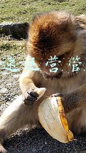 信梧高速运营管理中心