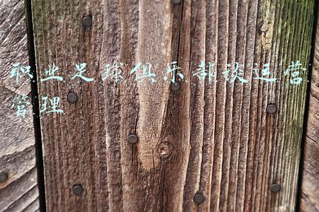 职业足球俱乐部谈运营管理