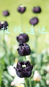色弱可以考电工证吗(青白江区2022年就业援助月招聘活动助残专场)