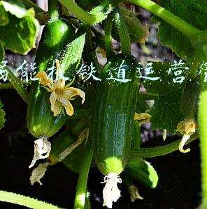 色弱怎么恢复视力(这些方法有效消除减轻色盲色弱，助色盲驾驶员过关，有效率达95%)