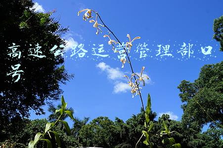 高速公路服务口号(高速公路交通安全宣传标语)