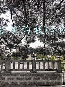 运营的核心到底是什么(社群运营的核心是什么？)