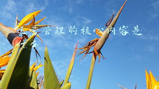 运营管理的主要内容(三分钟看懂什么是写字楼资产运营管理)