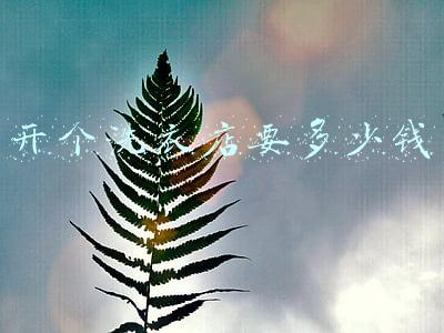 开个洗衣厂需要多少钱 开个洗衣厂大概需要多少费用
