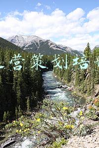 上海大院投资培训课程(重庆两江新区创新驱动高质量发展——“含新量”提升“含金量”)