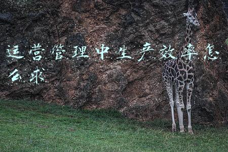生产效率和配置效率(多品种小批量生产效率提升之路)