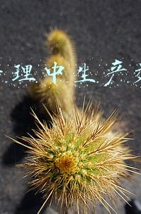 生产运营效率(生产运营效率如何最大化)