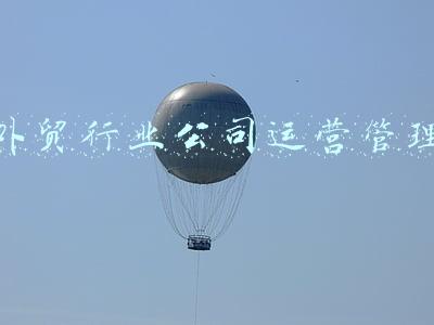 外贸行业建站(一文教你该如何搭建外贸独立站)