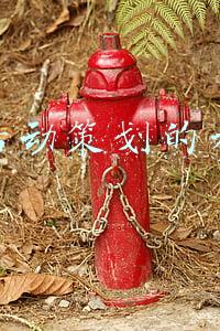 运营活动策划的相关书