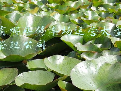 有哪些停车场运营大型管理公司
