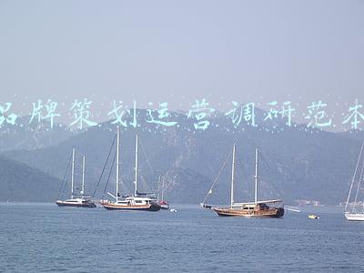 品牌运营策划方案(答疑支招篇：如何策划一场出色的品牌营销？)
