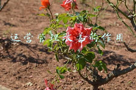 运营管理的作用(以城带乡提高环境基础设施水平)