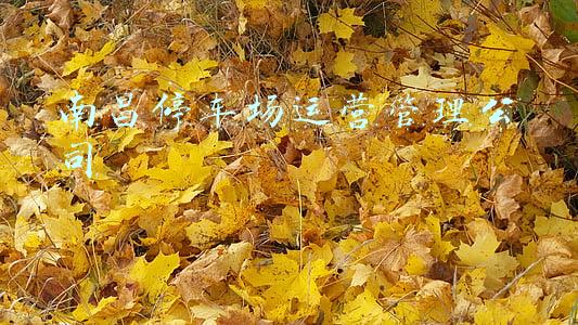 南昌停车场运营管理公司