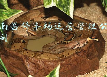 南昌停车场运营管理公司