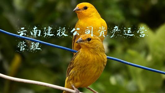 云南建投公司资产运营管理