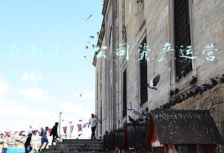 云南建投公司资产运营管理