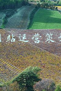网站运营维护方案具有几种方案(某项目弱电维保方案及报价，其他项目可参考)