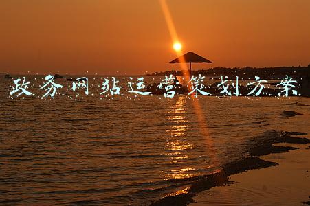 商务网站策划书(会写电子商务策划书？项目策划书案例请收下)