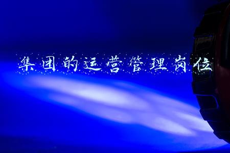 集团的运营管理岗位