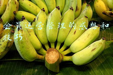 商会走访会员企业感想(走进农户，关爱村民—“大走访”活动心得体会)