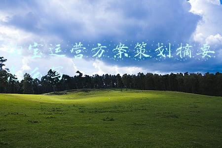 淘宝运营方案策划摘要怎么写