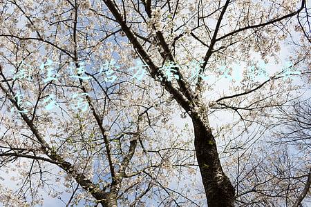 淘宝论文摘要(浅谈学术论文摘要的撰写与标注（收藏）)