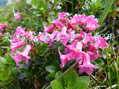 天猫开店费用明细_天猫店开店类目费用