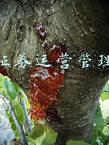 中银证券运营管理总部