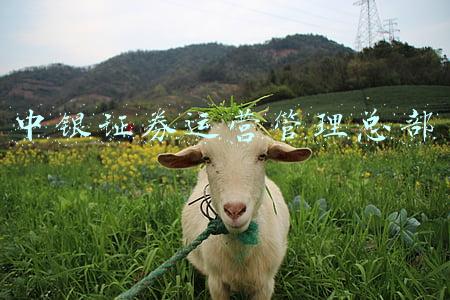中银证券运营管理总部