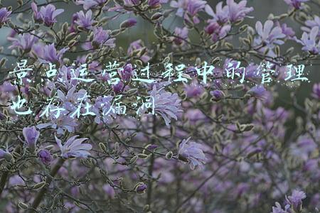旅游景区管理者面临的挑战(三个创新，《中国应急管理报》聚焦文旅行业安全管理“崂山模式”)