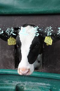 北京地铁运营二分公司(应急演练、全面维保……他们这样守护北京地铁运行安全)