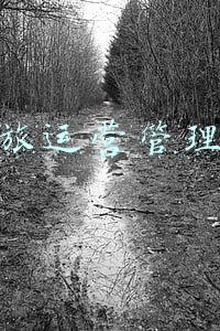 宣传部和文旅局关系(调兵山市委宣传部与市文旅局联合开展农家书屋督查，扎实做好文化惠民工作)