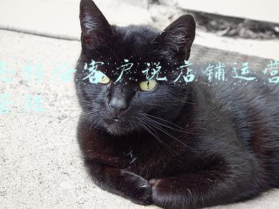 唯品会店铺客户端(唯品会「不为人知」的一面)