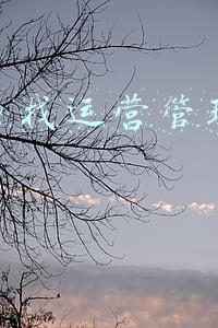 拼多多带运营(拼多多虚拟店铺如何玩转--拼多多店铺代运营全托管)