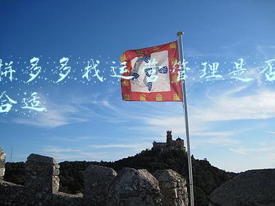 拼多多店铺运营(日销10W+拼多多运营，手把手教你利用工具选择赚钱产品（干货）)