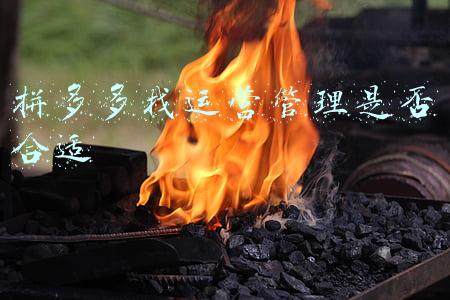 拼多多找运营靠谱吗(拼多多运营团队靠谱吗？有哪些费用？拼多多店铺代运营全托管)